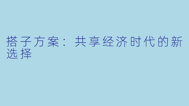 搭子方案：共享经济时代的新选择