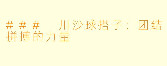 ### 川沙球搭子:团结拼搏的力量