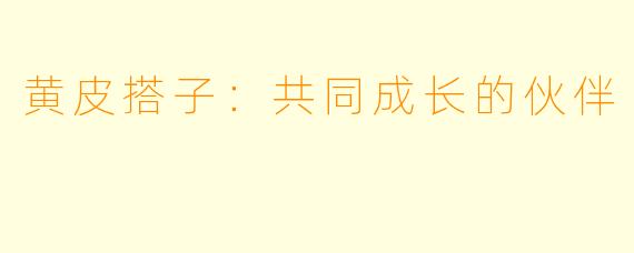 黄皮搭子：共同成长的伙伴