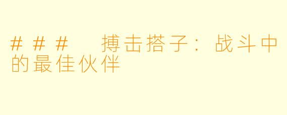 ### 搏击搭子：战斗中的最佳伙伴