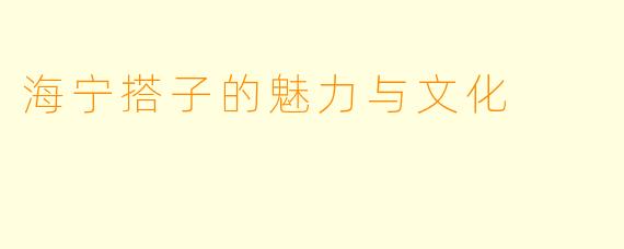 海宁搭子的魅力与文化