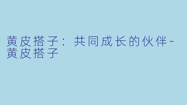 黄皮搭子:共同成长的伙伴
