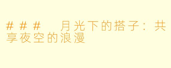 ### 月光下的搭子：共享夜空的浪漫