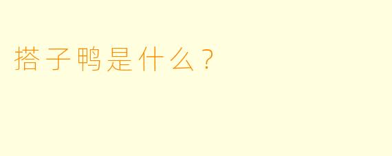搭子鸭是什么？  