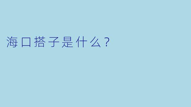 海口搭子是什么？