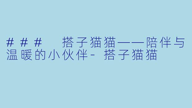 ### 搭子猫猫——陪伴与温暖的小伙伴-搭子猫猫