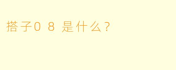 搭子08是什么？  