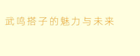 武鸣搭子的魅力与未来