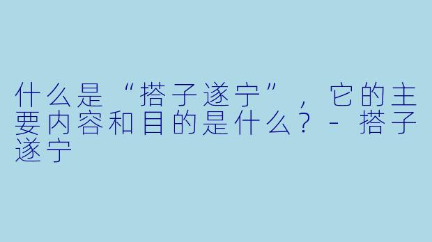 什么是“搭子遂宁”,它的主要内容和目的是什么?