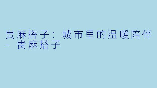 贵麻搭子：城市里的温暖陪伴-贵麻搭子