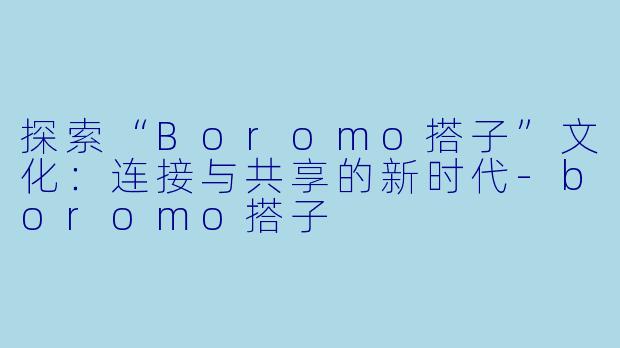 探索“Boromo搭子”文化：连接与共享的新时代-boromo搭子