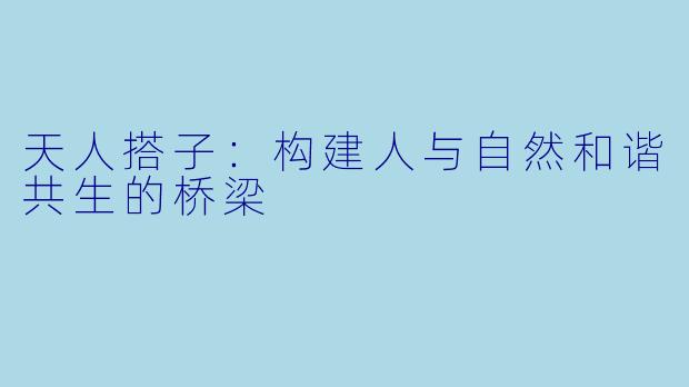 天人搭子：构建人与自然和谐共生的桥梁