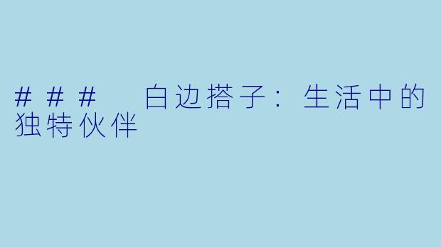 ### 白边搭子：生活中的独特伙伴