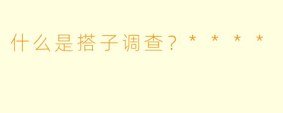 什么是搭子调查？****