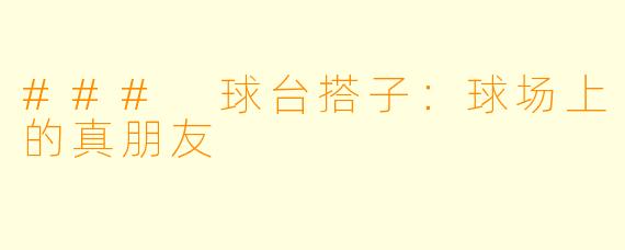 ### 球台搭子：球场上的真朋友