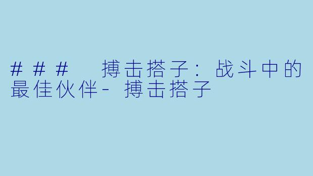 ### 搏击搭子：战斗中的最佳伙伴-搏击搭子
