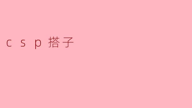 csp搭子