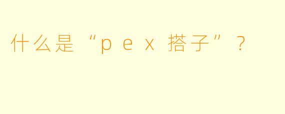 什么是“pex搭子”？