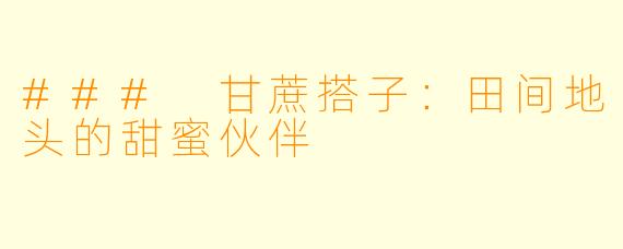 ### 甘蔗搭子：田间地头的甜蜜伙伴