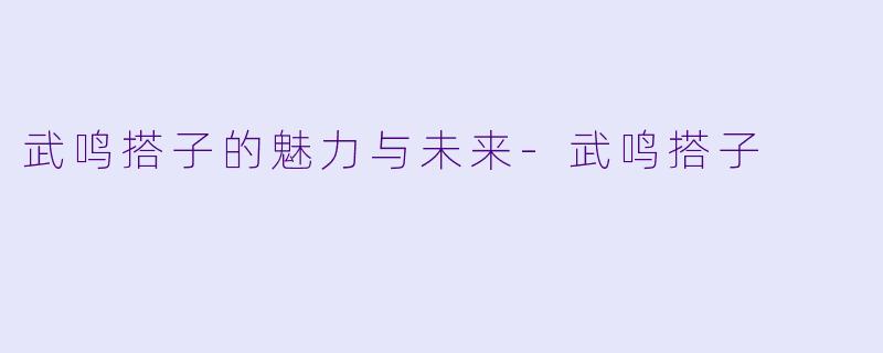 武鸣搭子的魅力与未来-武鸣搭子