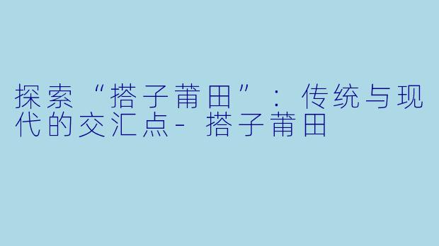 探索“搭子莆田”：传统与现代的交汇点-搭子莆田