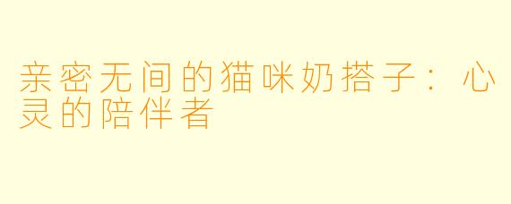 亲密无间的猫咪奶搭子：心灵的陪伴者