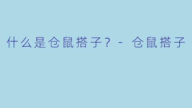 什么是仓鼠搭子？