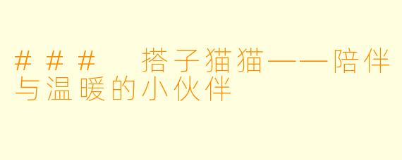 ### 搭子猫猫——陪伴与温暖的小伙伴
