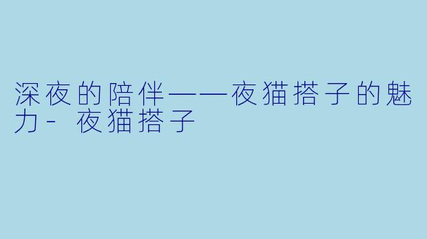 深夜的陪伴——夜猫搭子的魅力