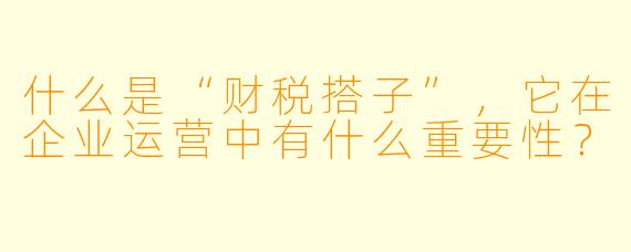 什么是“财税搭子”,它在企业运营中有什么重要性?