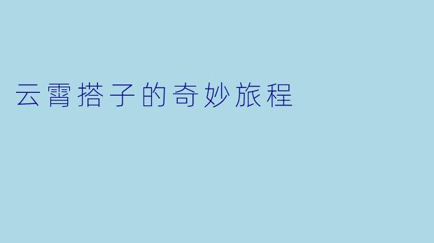 云霄搭子的奇妙旅程