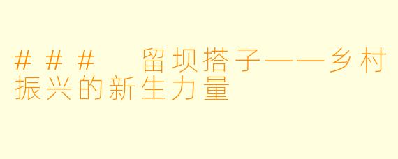 ### 留坝搭子——乡村振兴的新生力量