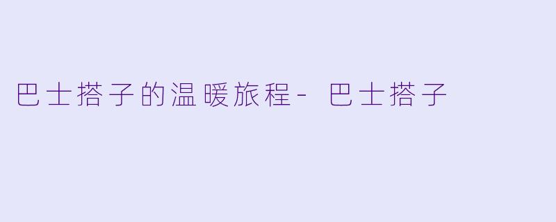 巴士搭子的温暖旅程
