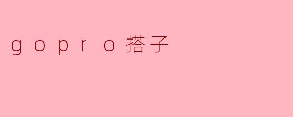 gopro搭子