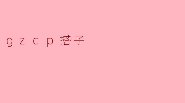 什么是gzcp搭子,它的主要功能是什么?****