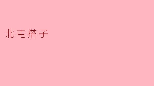 北屯搭子是什么？  