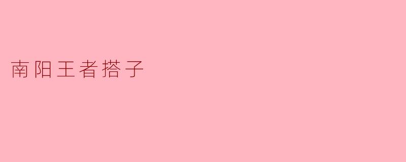 南阳王者搭子