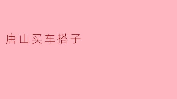 唐山买车搭子