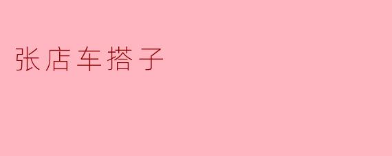 张店车搭子