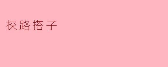 探路搭子