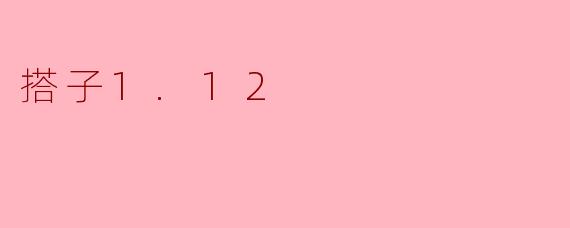 搭子1.12