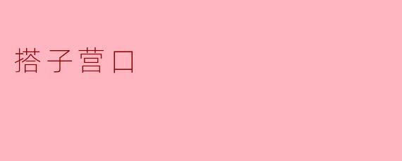 搭子营口的“搭子”是什么意思？  