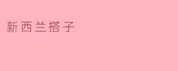 ### 新西兰搭子:探索友谊与旅行的新方式