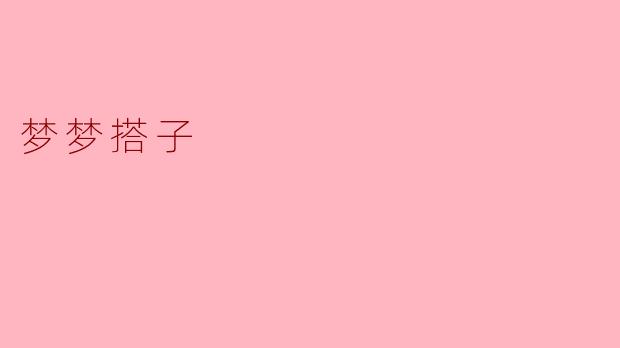 ### 梦梦搭子:共同编织梦想的伙伴