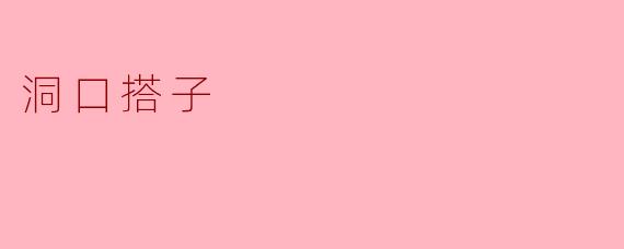 洞口搭子