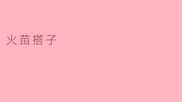 火苗搭子