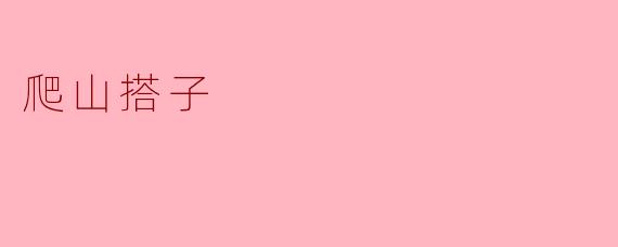 ### 高山之友:我与“爬山搭子”的故事