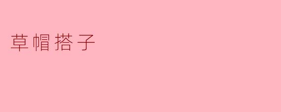 草帽搭子:探索生活的小确幸
