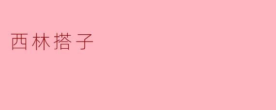 西林搭子是什么？