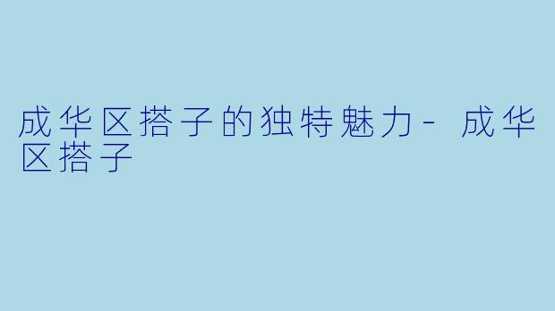 成华区搭子的独特魅力